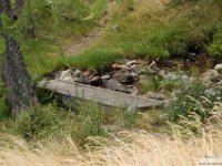 2025-07-27 M. Pelago e Lacs Bessons 038